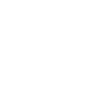 Car Accident Icon White
